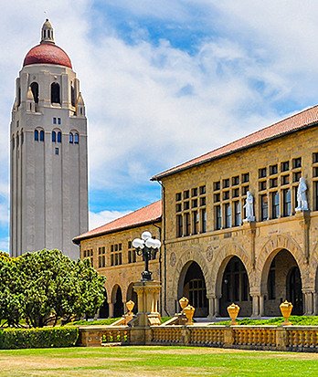 pupils heart sea copy 